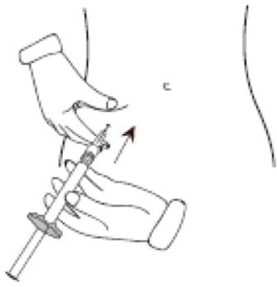 Figure L (Ica00 0002 15)
