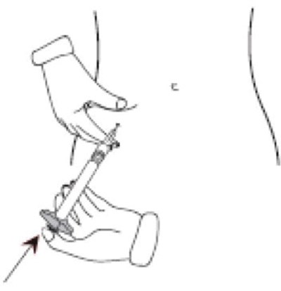 Figure M (Ica00 0002 16)