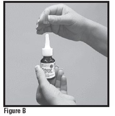 Figure B (Image 03)