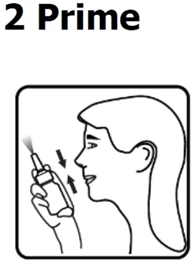Ioo13 (Image 13)