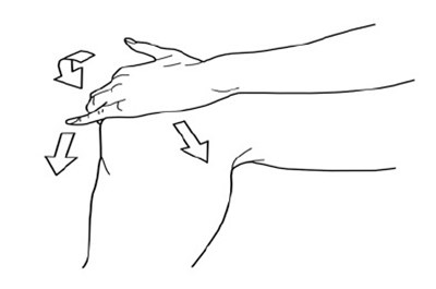 Image 4 (0870b0ce 7ec1 4f5f 9ac8 A3d6de6f663f 05)