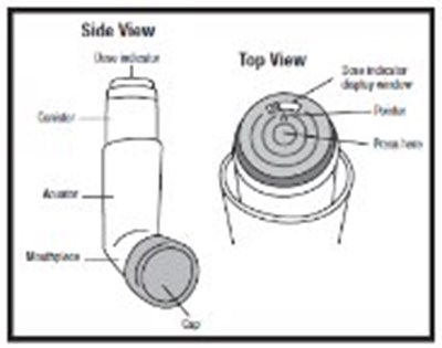 Fig-A - AlbuterolFigA