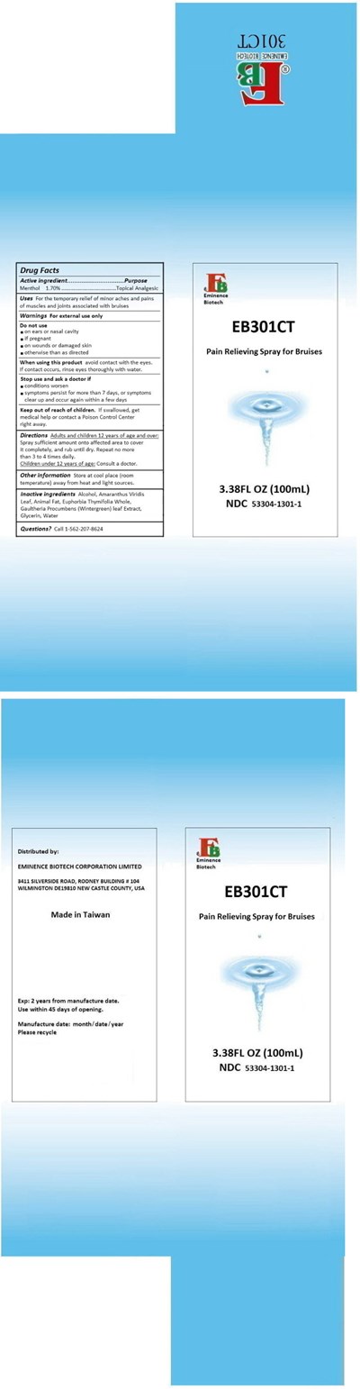 Principal Display Panel (100 mL Bottle Carton)