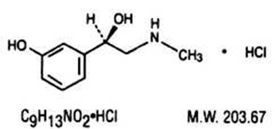 Structure 2 (545ae063 21bf 4dc8 9ad0 0c113b1b0dea 02)