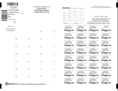 Principal Display Panel (60 MG)