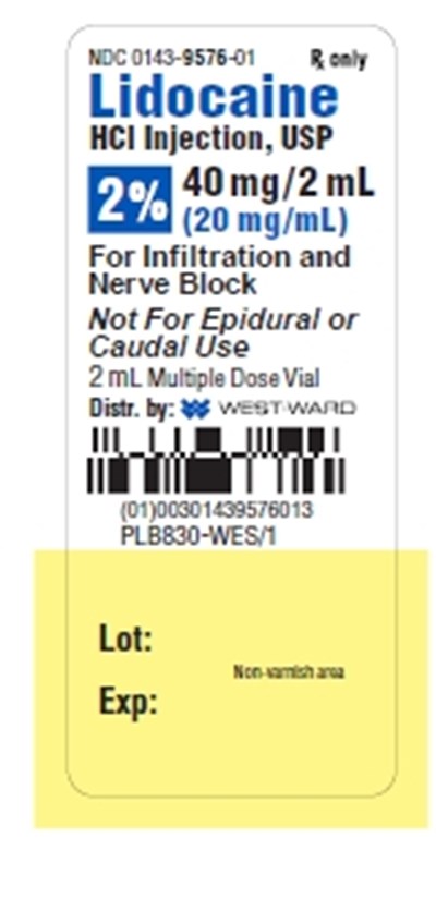 lidocaine-hydrochoride-injection---preserved-8.jpg 1% 50 mL x 10 February 2015 - lidocaine hydrochoride injection preserved 8