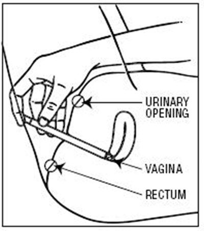 Instruction 4 (5527cd23 567b 4019 8e5c F71ee7ed2689 04)