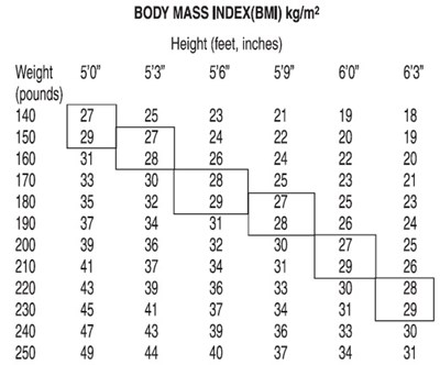 Bmi Index (Figure 1 Bmi Index)