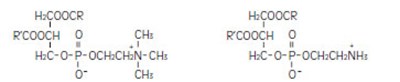 Figure (Intralipid  20 Pbp Excel Container Figure 12 Intra Figure)