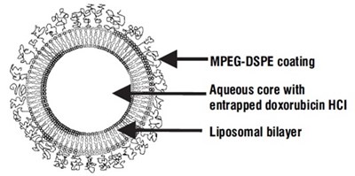 Doxorubicin-pegylated-liposome (Doxorubicin Pegylated Liposome)