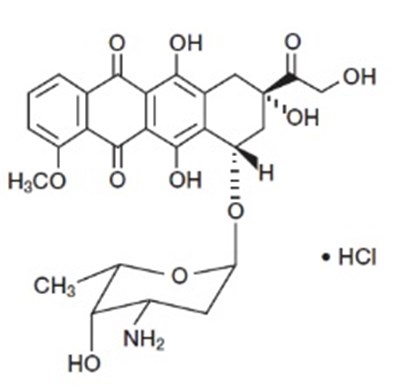 Doxorubicin-structure. (Doxorubicin Structure)