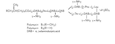 Polymyxin B Sulfate, The Sulfate Salt Of Polymyxin B1 And B2 (structural Formula) (697ea650 95b5 4814 8821 A99a85314679 02)