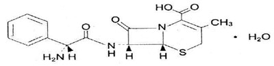 structure - cephalexin for oral  figure 1