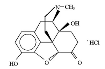 Structure.jpg Struct - Structure