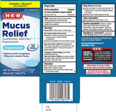 Guaifenesin 600 mg (Mucus Relief 600 mg Extended Release Caplets 1)