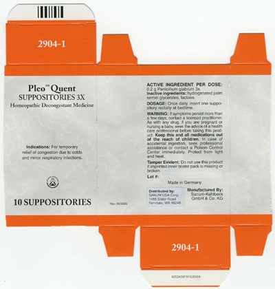 Principal Display Panel (10 Suppositories Carton)