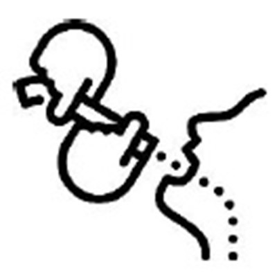 Figure C (Eohilia 04)