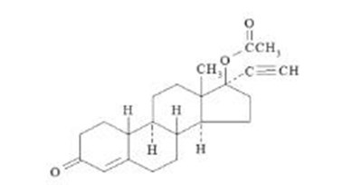 Nestructure.jpg (Image 02)
