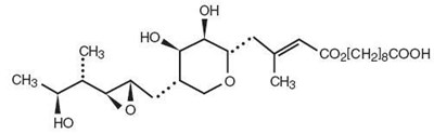 figure-01.jpg Image 1 - figure 01