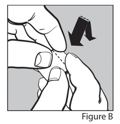 1 (Figure B)
