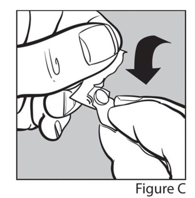 1 (Figure C)