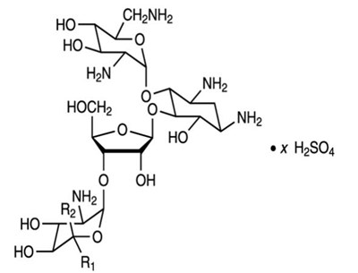 The Chemical Structure For The Active Ingredient Neomycin Sulfate (Maxitrol Ointment 01)