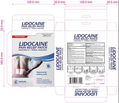 Lidocaine 4% Pain Relief Patch Label (Lidocaine4pct Painreliefpatch Label)