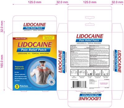 Lidocaine 4% Pain Relief Patch Label (Lidocaine4pct Aspercreme Painreliefpatch Label)