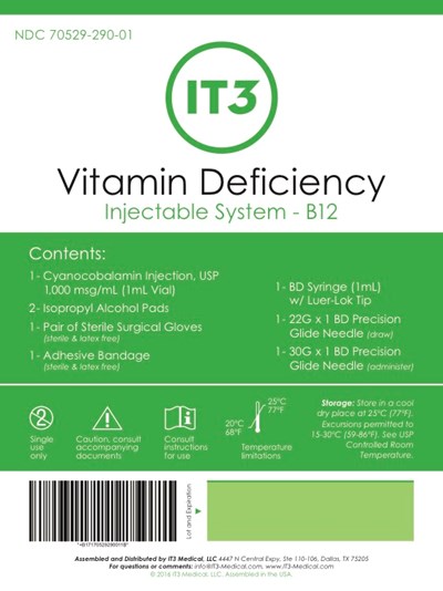 vitamin-1 - Vitamin Label B12