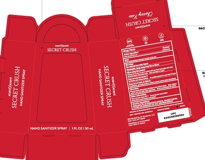 5below_wellness27_secretcrush_cherrykiss_handsanispraybag_mech_v3_ol (5below Wellness27 Secretcrush Cherrykiss Handsanispraybag Mech V3 Ol)