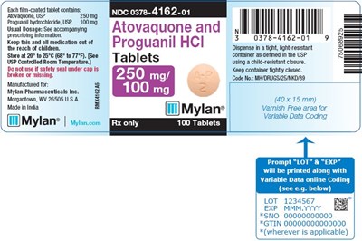 image-02.jpg Atovaquone and Proguanil HCl Tablets 250 mg/100 mg Bottle Label - image 02
