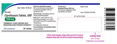Package Label-principal Display Panel (250 mg (30 Tablets Bottle))