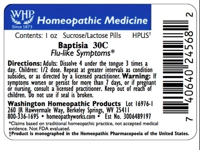 Baptisia