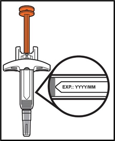 Figure D (Avtozma 06)