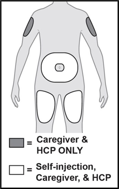 Figure H (Avtozma 10)