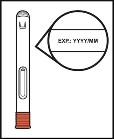 Figure D (Avtozma 20)