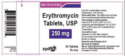 2f98d90f-bd38-4e3f-99a0-16f2004fcc71-02.jpg image - 2f98d90f bd38 4e3f 99a0 16f2004fcc71 02