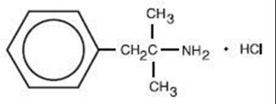 Description (Image)
