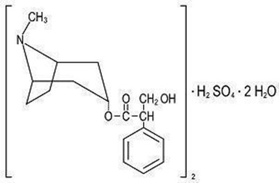 Hyoscyamine Sulfate (Figure 01)