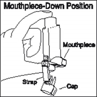 Figure 2 (31292cb7 23c2 45af 8b14 23d616f0ff16 05)