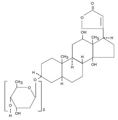Structural Image (Digoxin   8202  West Ward 1)