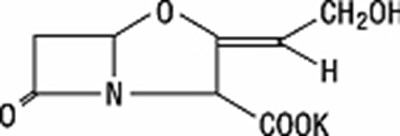 Image 2 (Augmentin 02)