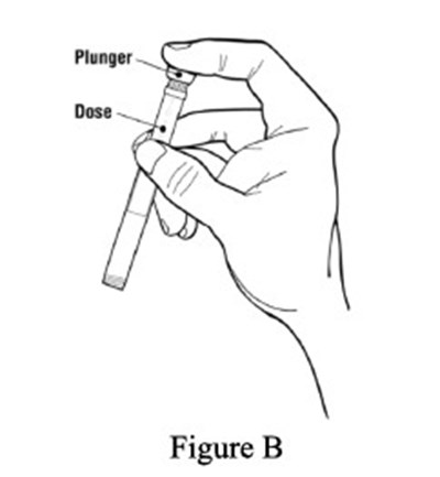 Image B (Image B)