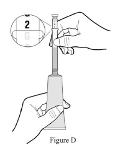Image D (Image D)