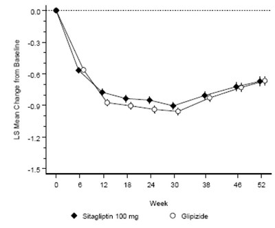 Sitagliptinmetformin-04 (Sitagliptinmetformin 04)