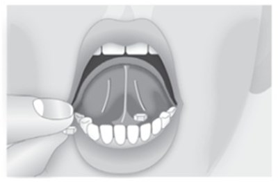 Illustration (Image 02)