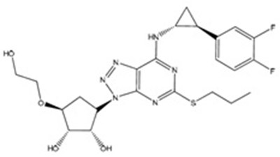 Tica-tabs-structure (Tica Tabs Structure)