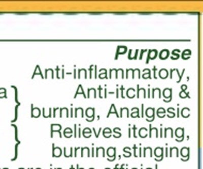 Purpose Section (Buzzie Purpose Section)