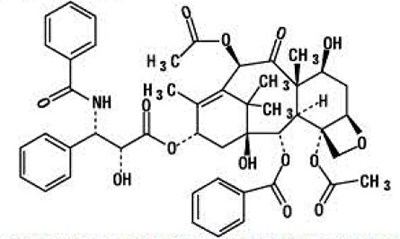 Paclitaxel-str (Paclitaxel Str)