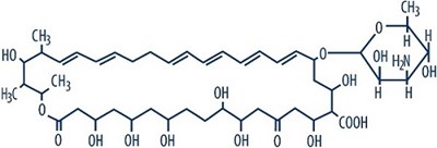 Nystatin_structure (Nystatinstructure)